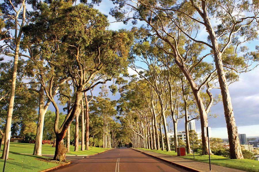 Kings Park