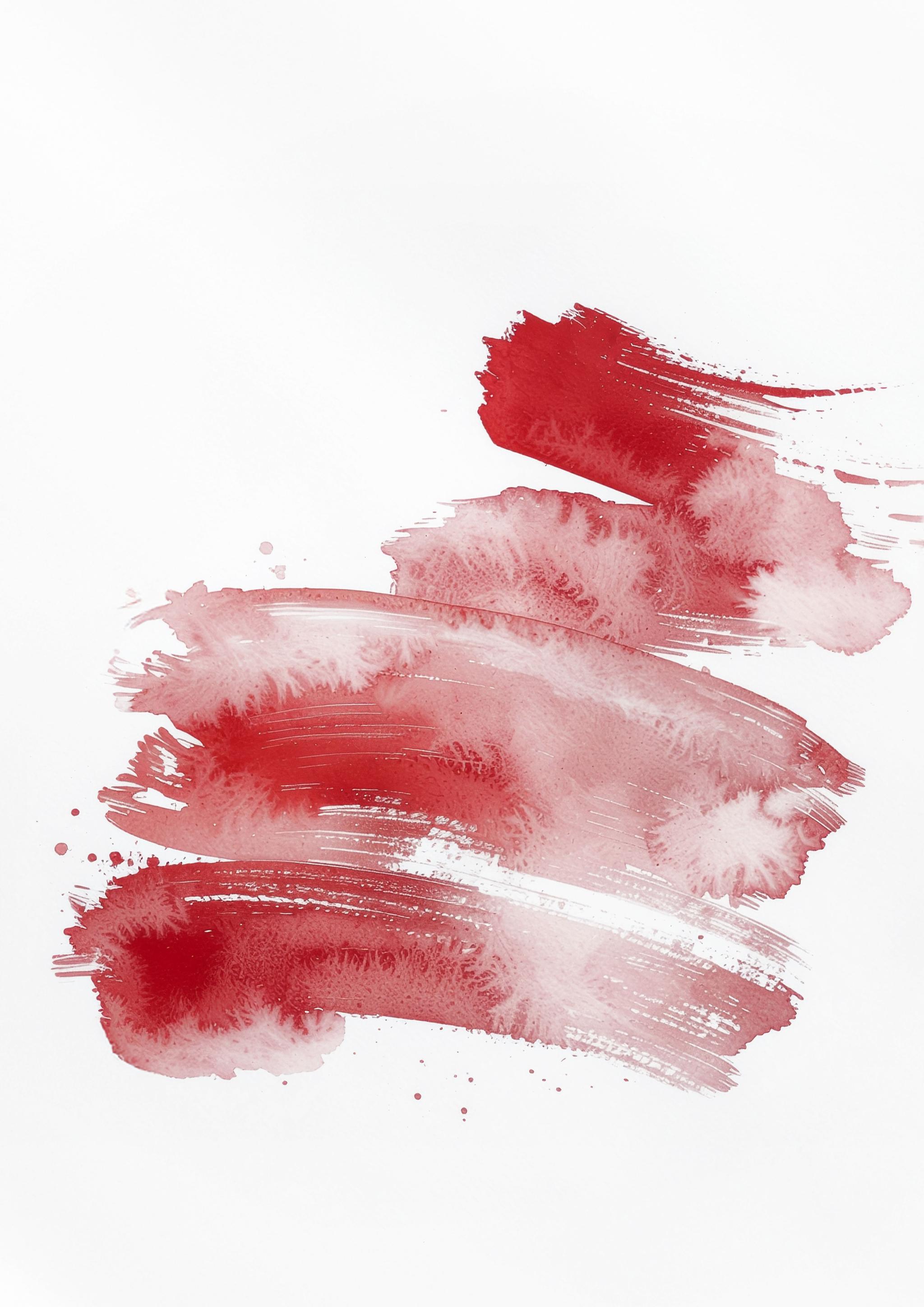 Wine Series Luncheon - Red Edition