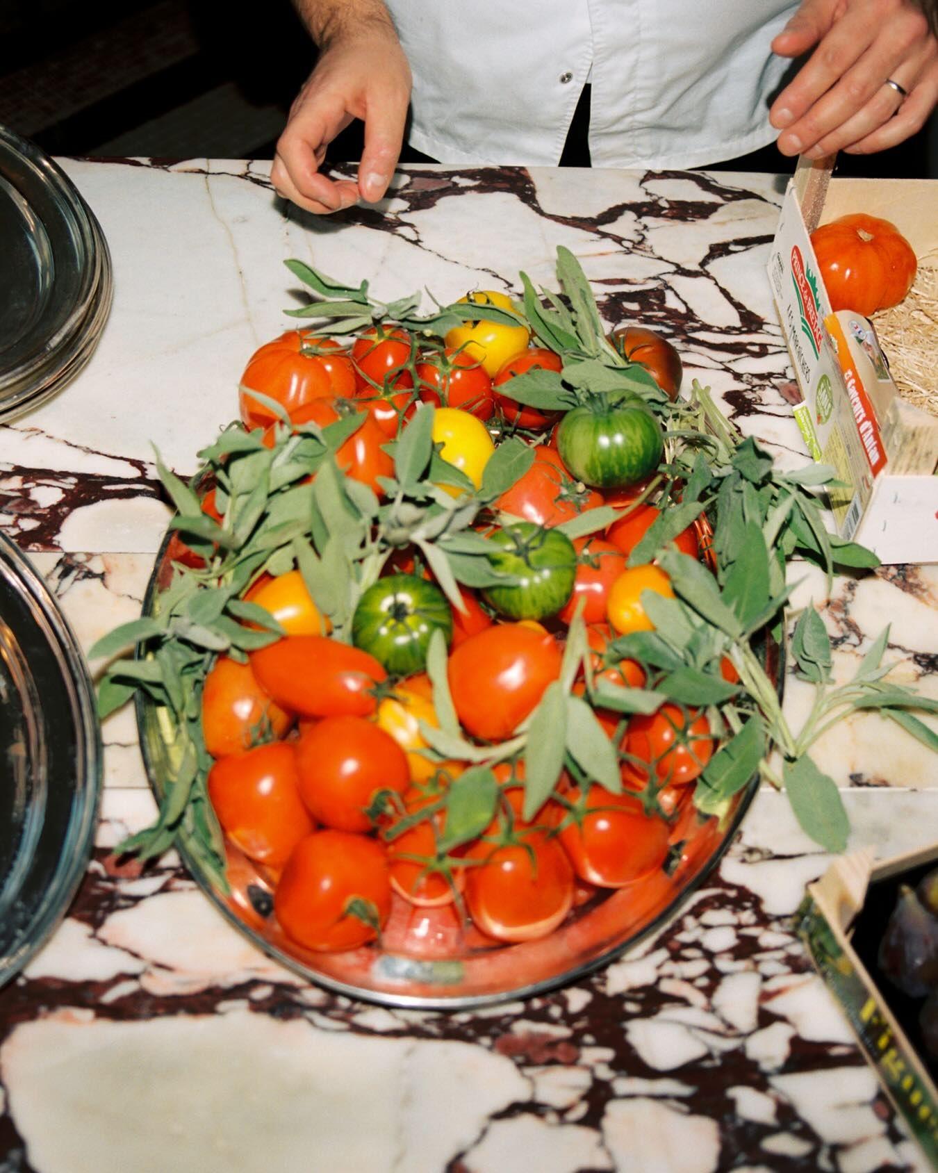 Truffle Season featured image